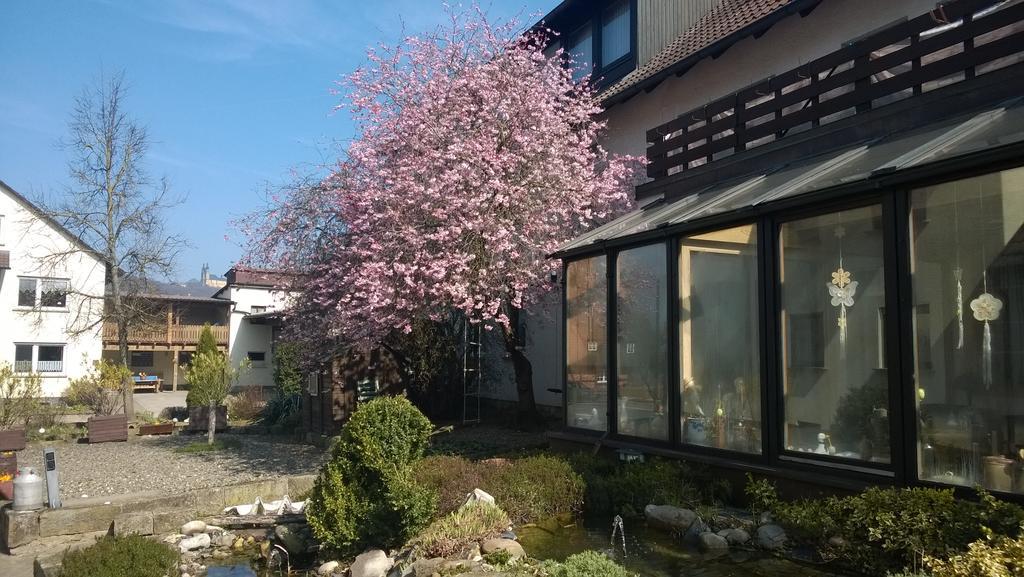 阿道夫斯福鲁克斯佩酒店 巴特司塔福斯坦 外观 照片